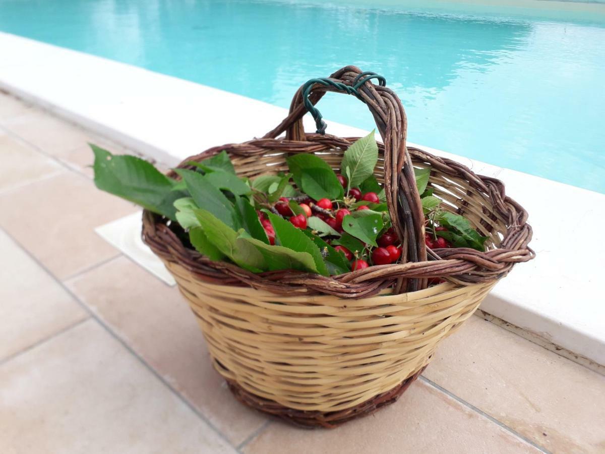Relais Villa Sofia Calcinelli Ngoại thất bức ảnh